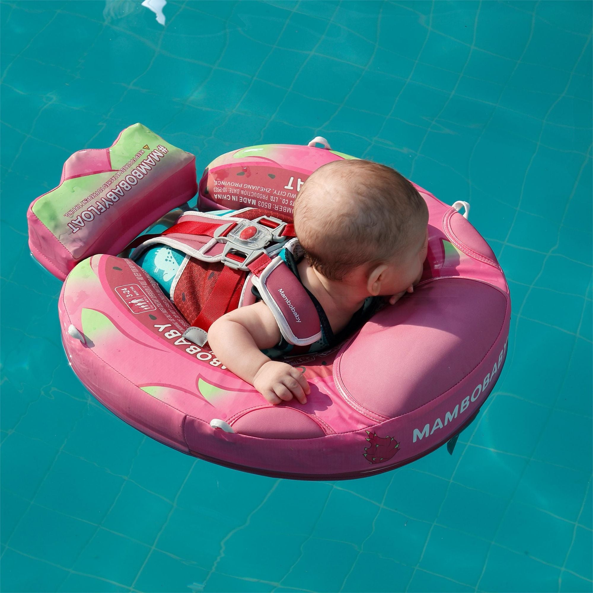 Mambobaby Float with Canopy and Tail Dragon Fruit